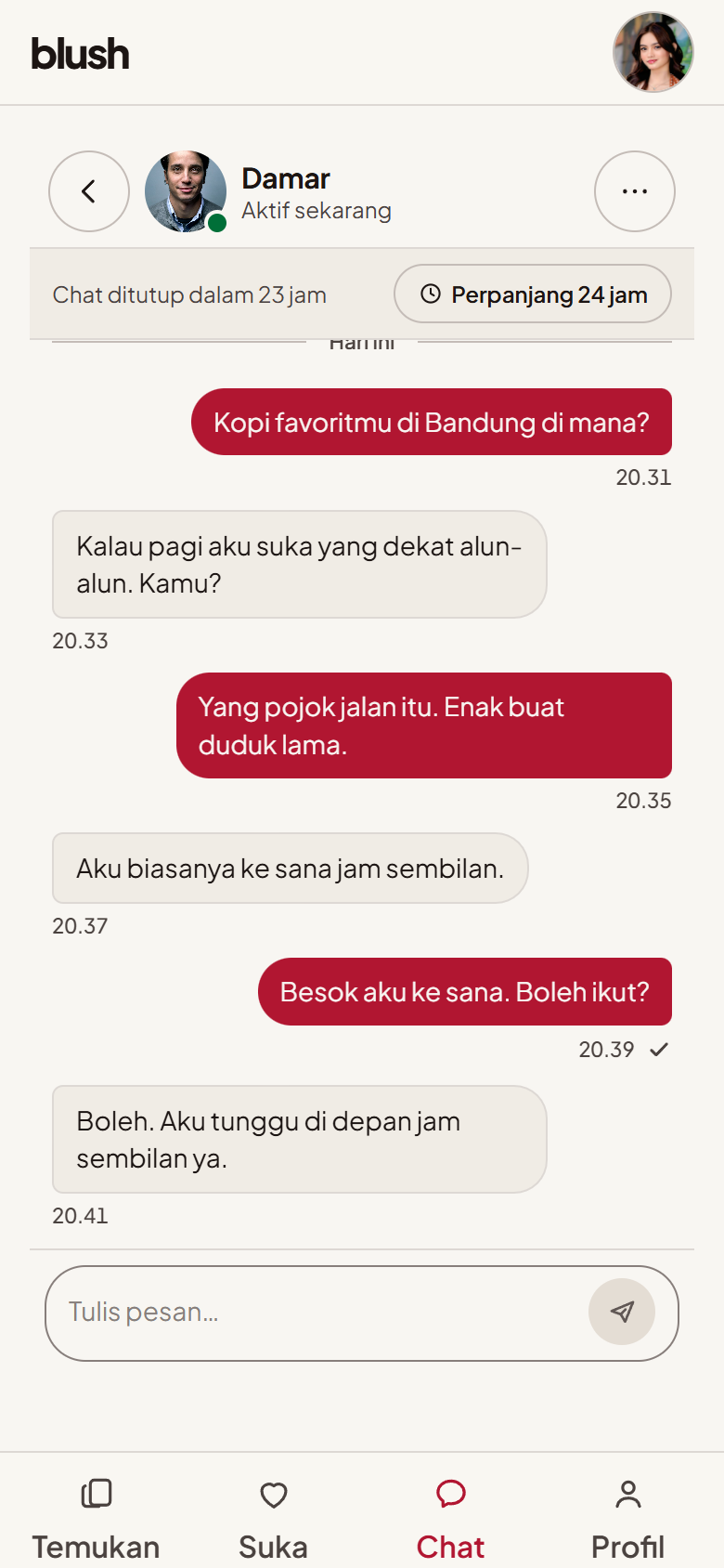 Ruang chat Blush antara Rara dan Damar